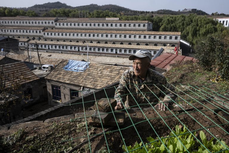 Jia Tianlian sa stará o svoj malý pozemok v Dazhai, dedine na severe Číny, ktorú Mao Ce-tung kedysi označil za vzor pre celú krajinu. V pozadí sú obytné budovy z „ľudovej komúny“ tej doby. Foto: Gilles Sabrié/New York Times