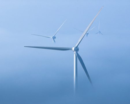 Veterný park v Stupave: aktivisti chcú referendum, primátor najprv posúdenie EIA