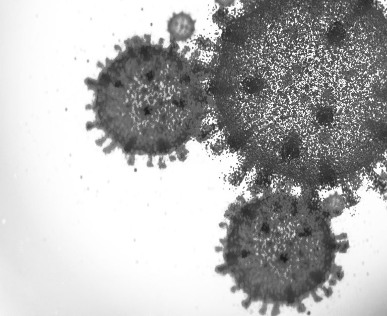 Ilustračná foto. Foto: Yuichiro Chino / Getty Images