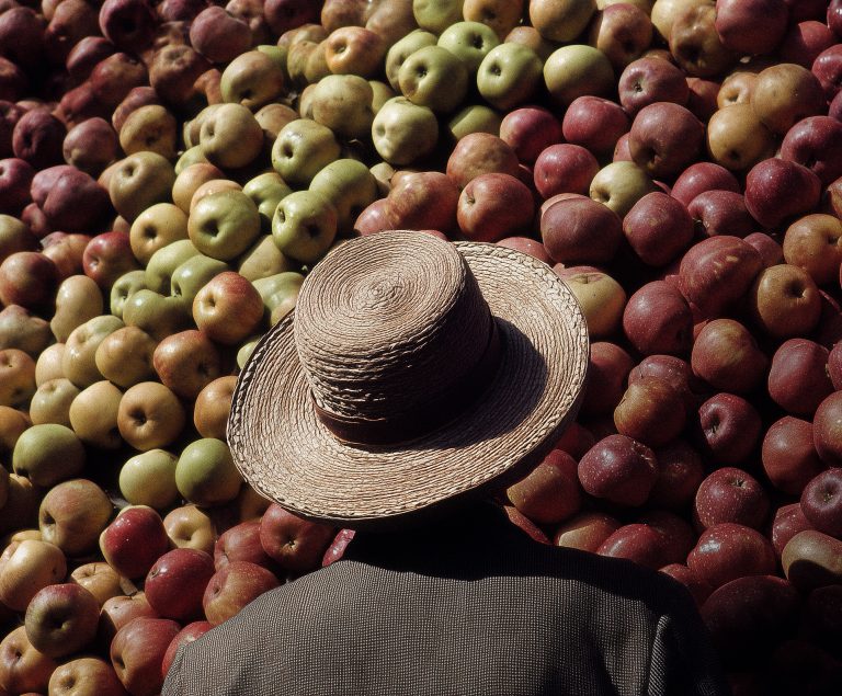 Ilustračná fotografia bola vytvorená pomocou umelej inteligencie. Foto: Štandard / Midjourney