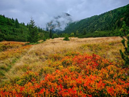 Ochranári varujú pred zonáciou národných parkov. Nové parkoviská či ťažba dreva
