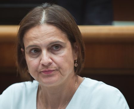 SaS-kárske trestanie je ukážkou amaterizmu