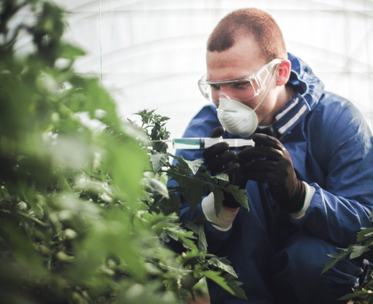 Ilustrčná foto. Foto: South_agency / Getty Images