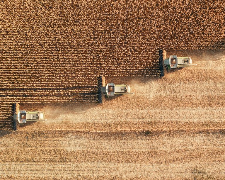 Ilustračná fotografia. Foto: ArtistGNDphotography/Getty Images