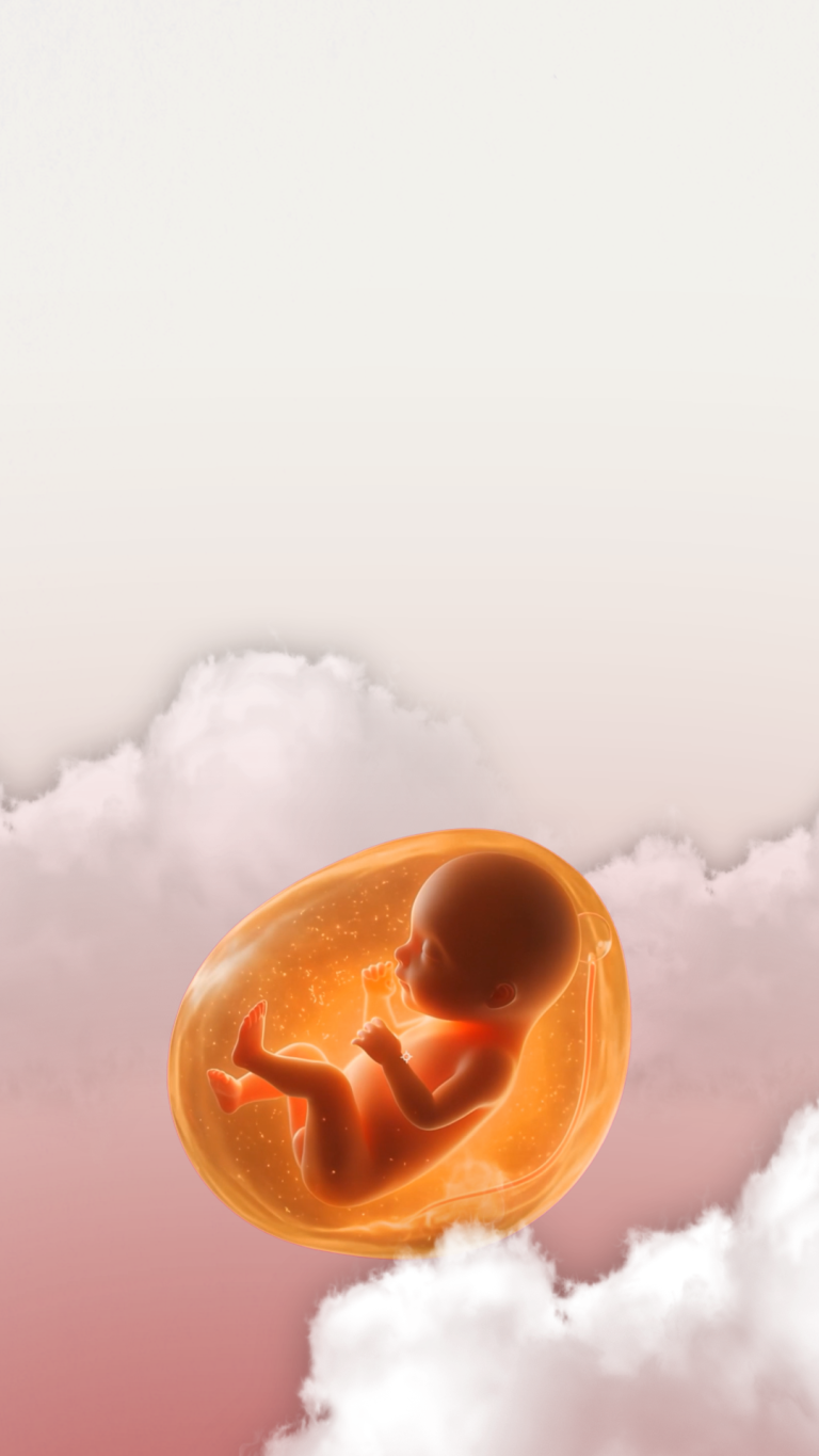 Das EU-Parlament hat der Politik des Todes grünes Licht gegeben. Es hat die Türen für Abtreibungstourismus geöffnet