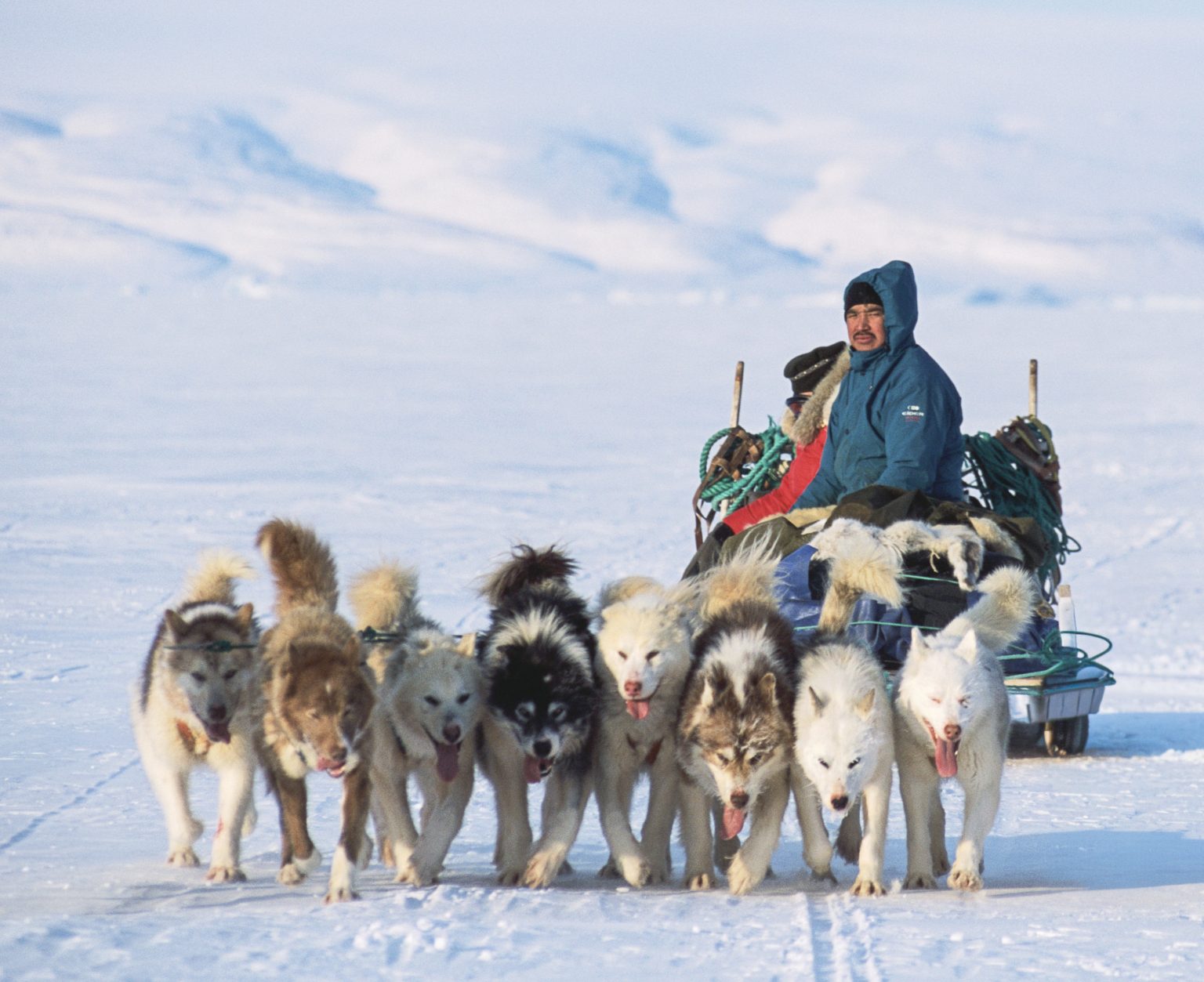 Inuitský lovec so psím záprahom. Foto: Getty Images / Layne Kennedy