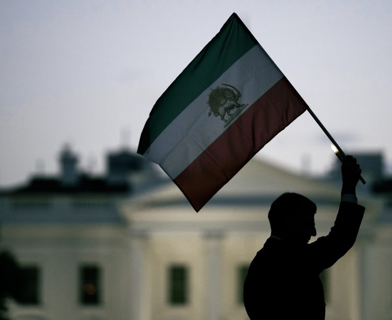 Ein Protestant mit der Flagge des Iranischen Kaiserreichs. Foto: Drew Angerer/Getty Images