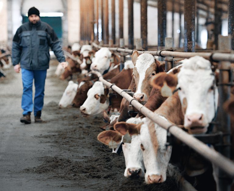  Foto: ČTK / Němeček Pavel / PROFIMEDIA