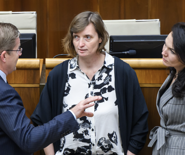 Huliak má Plavákovej za vulgárny výraz zaplatiť nemajetkovú ujmu