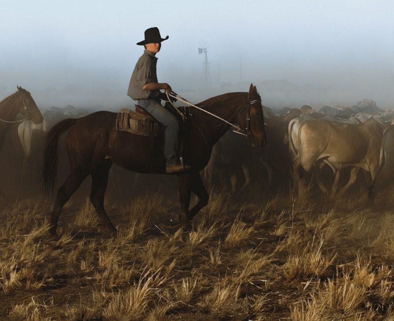 Austrálska farma na chov hovädzieho dobytka. Foto: Sean Davey/Sydney Morning Herald/Fairfax Media via Getty Images via Getty Images