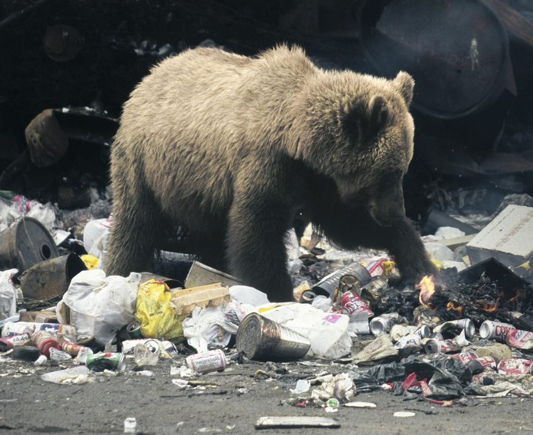 Ilustračná fotografia. Foto: Dieter Hopf / Getty Images