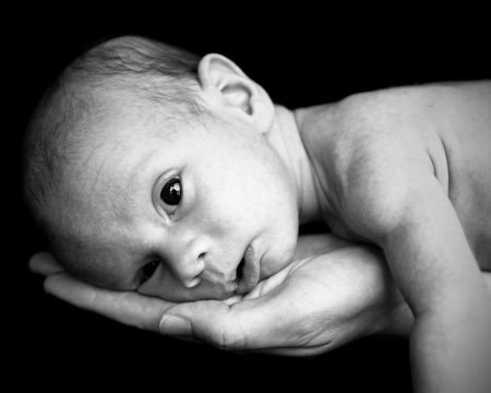 Adoption instead of abortion? An idea meets reality