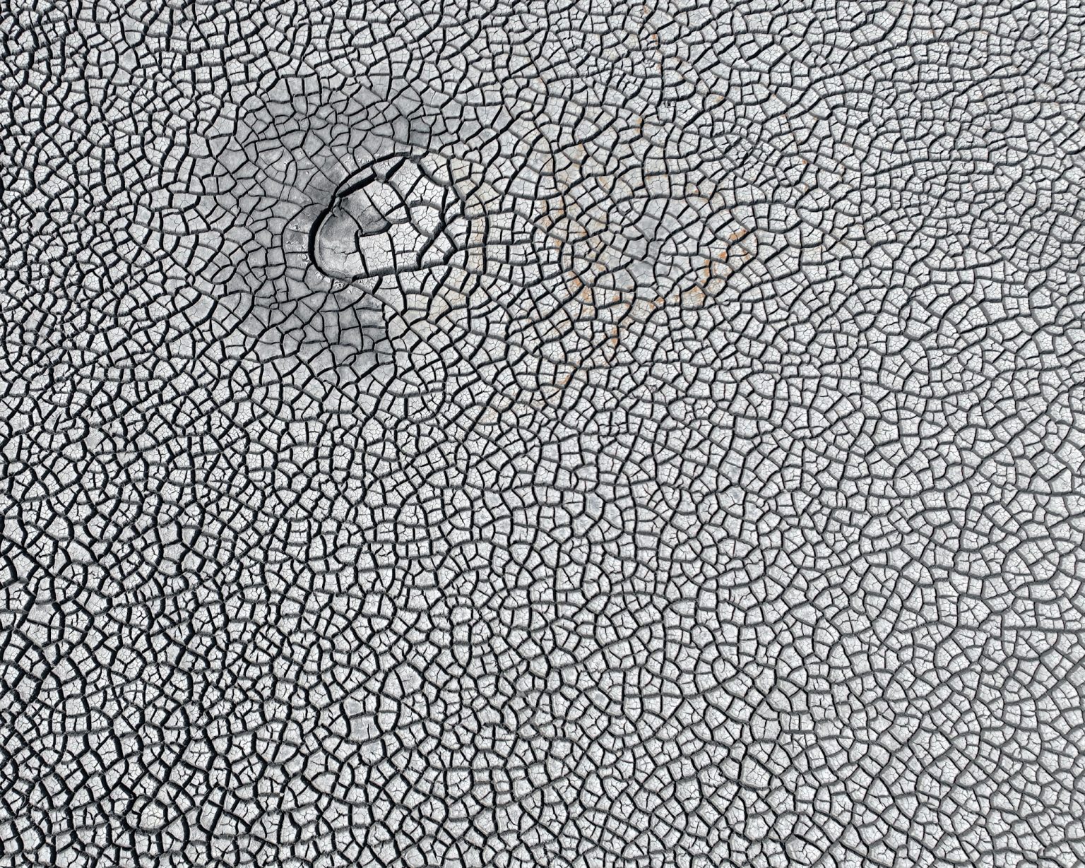 Ilustračná fotografia. Foto: Joe Raedle/Getty Images