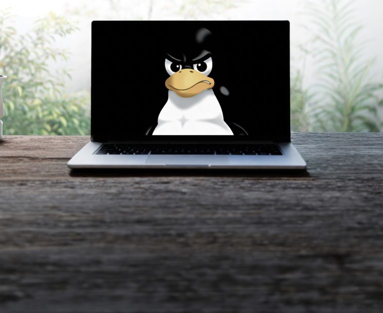 Tux, the Linux mascot, is not happy with the regulations in California. Photo: Getty Images/AI