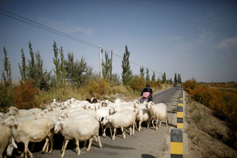 Viral Herdsman Job Exposes China’s Labor Market Strains