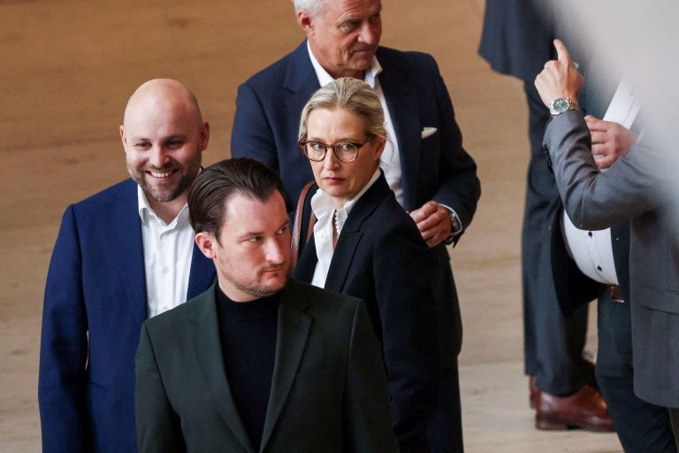Alternative for Germany co-leader Alice Weidel.