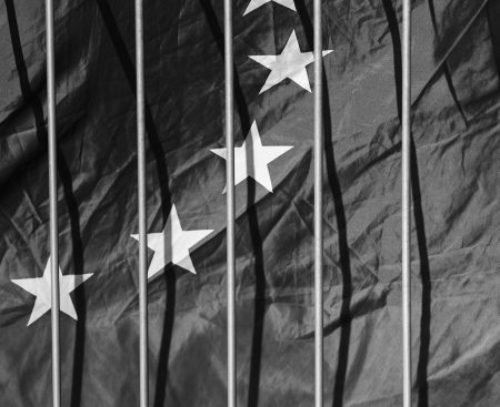 Critics warn about the EU's digital ID system.